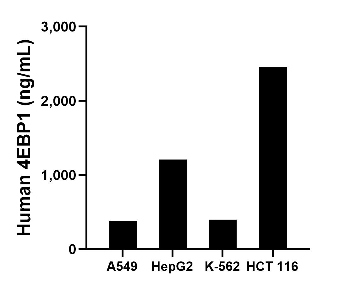 The mean 4EBP1 concentration was determined to be 375.9 ng/mL in A549 cell extract based on a 3.0 mg/mL extract load, 1,210.9 ng/mL in HepG2 cell extract based on a 8.5 mg/mL extract load, 396.7 ng/mL in K-562 cell extract based on a 5.2 mg/mL extract load and 2,456.3 ng/mL in HCT 116 cell extract based on a 6.1 mg/mL extract load.